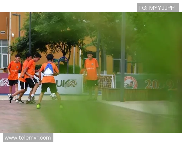 都市之足球皇帝第八区的传奇崛起与梦想追逐之旅